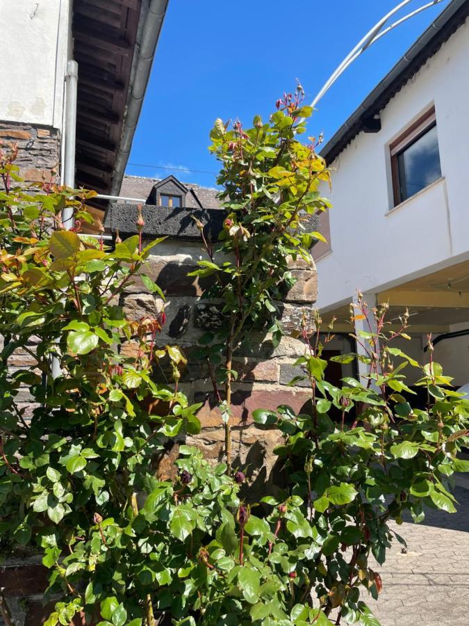 Hotel Altes Weingut Bröhl Hatzenport Exterior foto